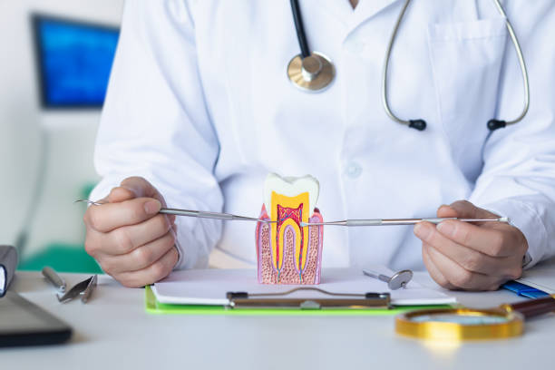 Best Emergency Dental Care for Trauma or Injury in Encinal, TX